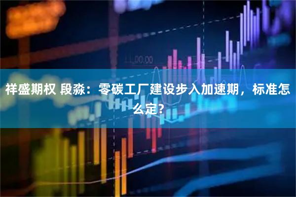 祥盛期权 段淼：零碳工厂建设步入加速期，标准怎么定？