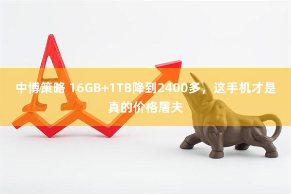 中博策略 16GB+1TB降到2400多，这手机才是真的价格屠夫